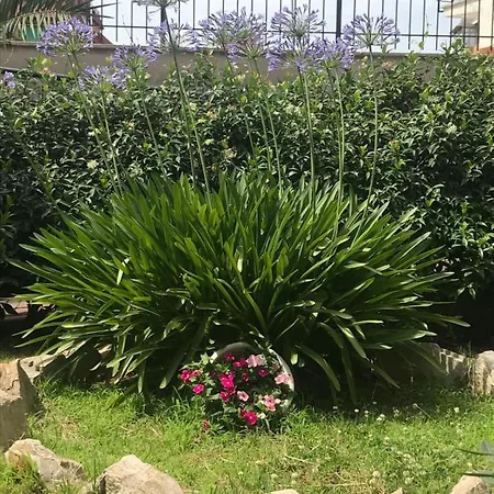 Apartament Lovely Little In Via Aurelia